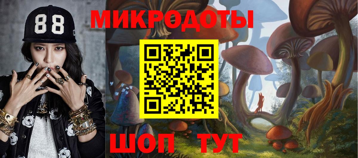 Галлюциногенные грибы Psilocybine cubensis  Вход с VPN  Рязань 
